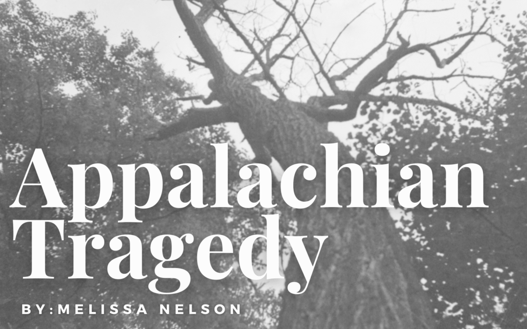 Appalachian Tragedy: The Devastation of the American Chestnut and the Resilience of a People